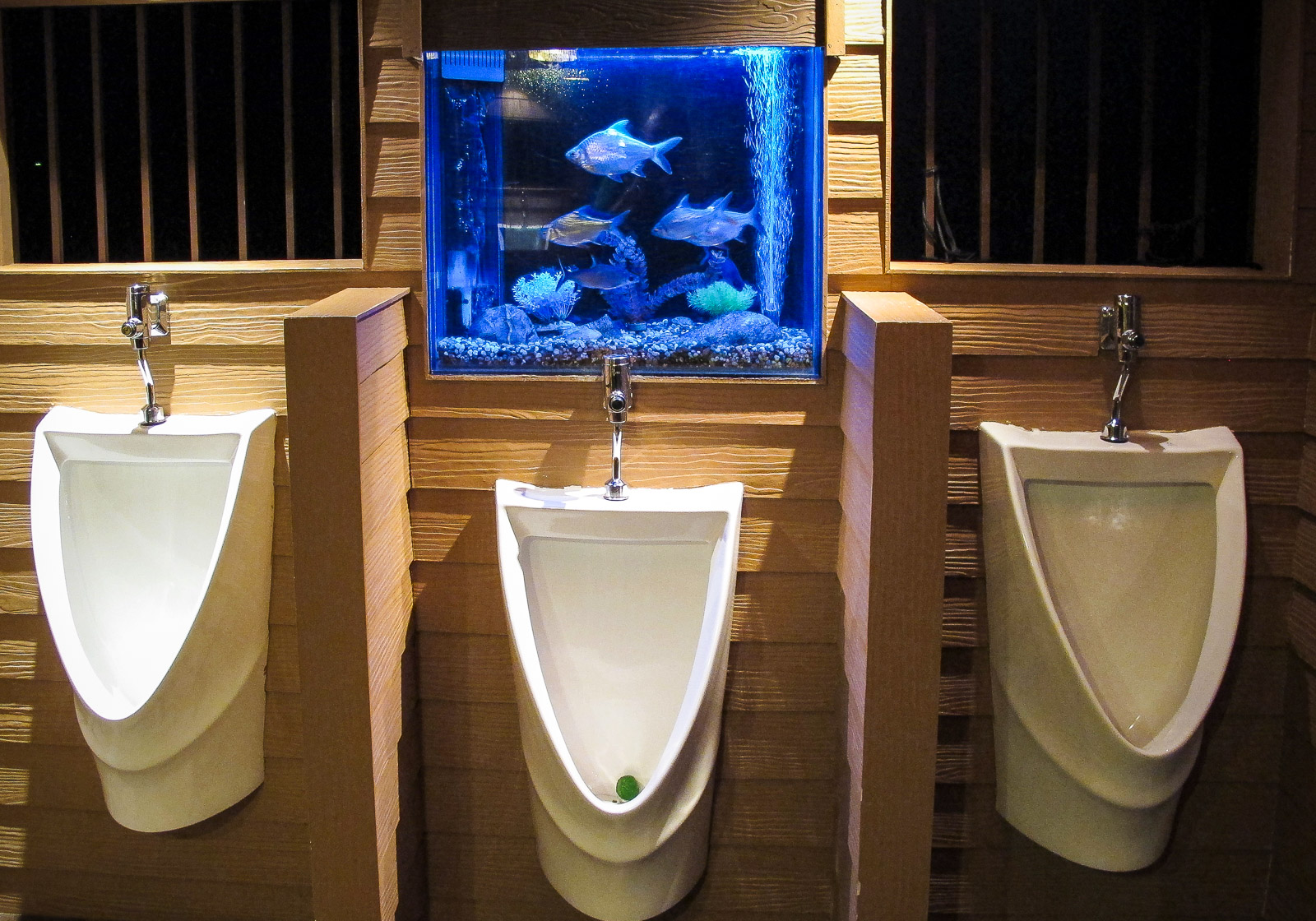 Bathroom Break